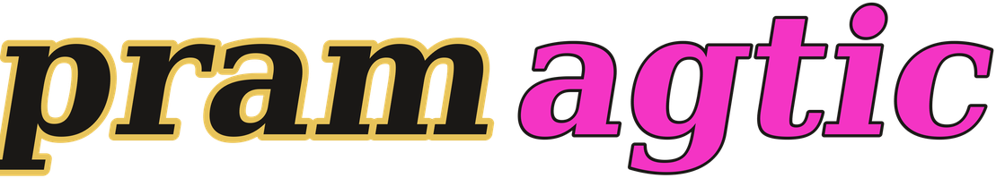 pramagtic logo